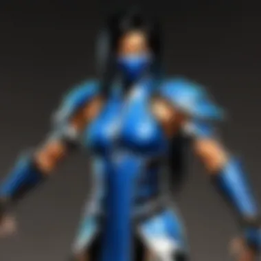 Fierce Kitana Armor