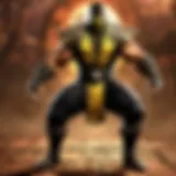 Fighter in Mortal Kombat universe