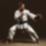 Martial artist performing a precise kata