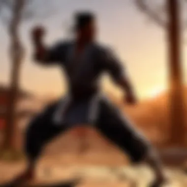 Silhouette of a karateka practicing kata at sunrise